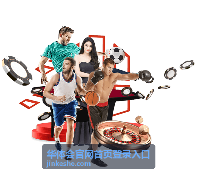 华体会官网首页登录入口手机号与邮箱填写示意