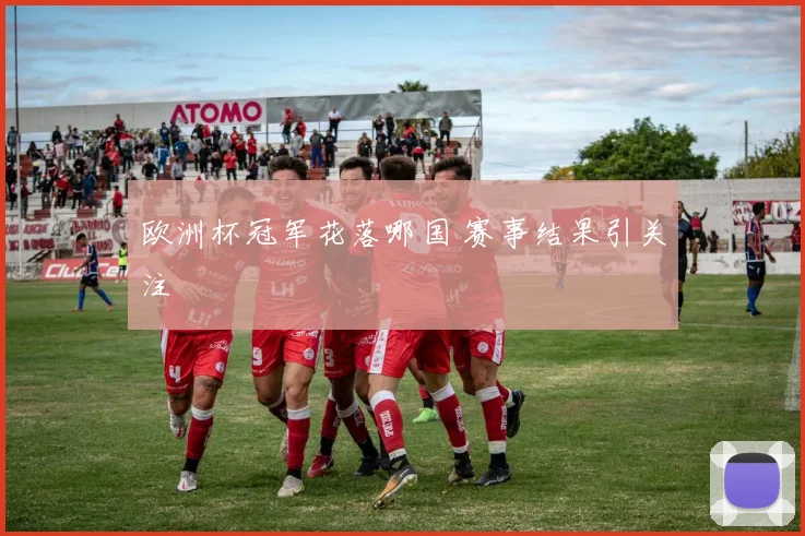 欧洲杯冠军花落哪国 赛事结果引关注