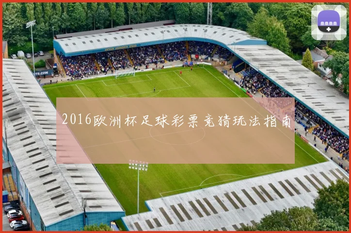 2016欧洲杯足球彩票竞猜玩法指南