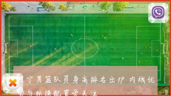 辽宁男篮队员身高排名出炉 内线优势与轮换配置受关注