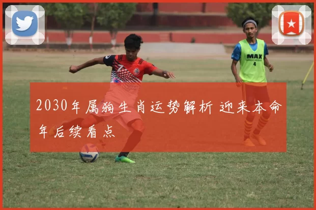 2030年属狗生肖运势解析 迎来本命年后续看点