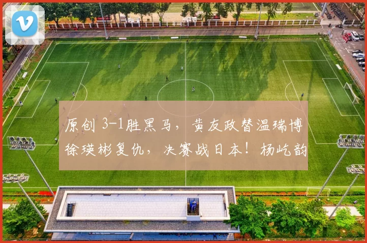 原创 3-1胜黑马，黄友政替温瑞博徐瑛彬复仇，决赛战日本！杨屹韵女单冲冠！