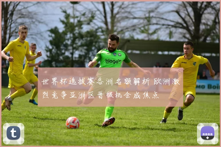 世界杯选拔赛各洲名额解析 欧洲激烈竞争亚洲区晋级机会成焦点