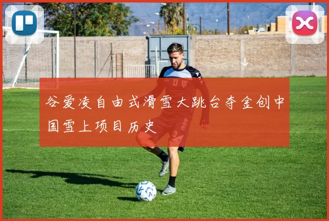 谷爱凌自由式滑雪大跳台夺金创中国雪上项目历史