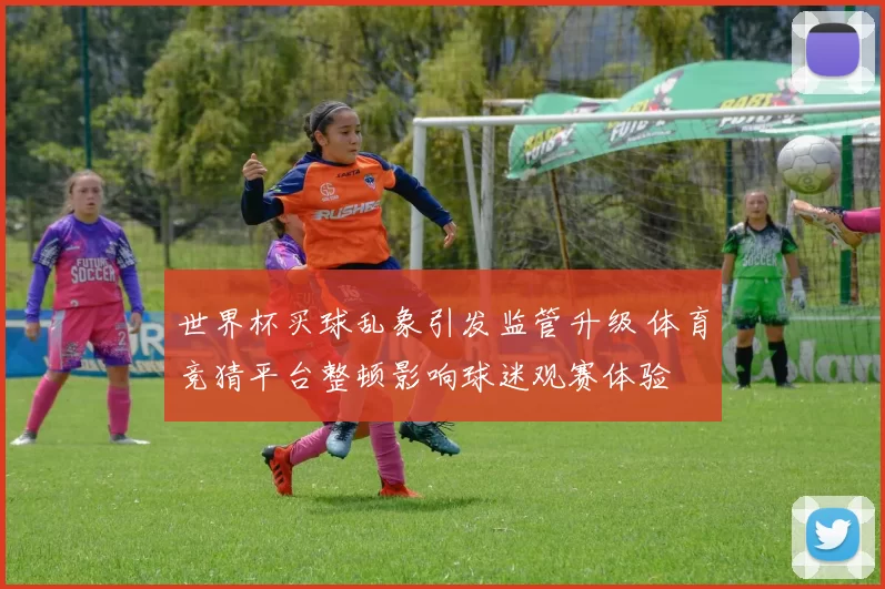 世界杯买球乱象引发监管升级 体育竞猜平台整顿影响球迷观赛体验