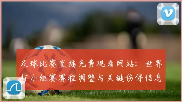 足球比赛直播免费观看网站：世界杯小组赛赛程调整与关键伤停信息影响赛果